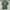 Nike Vintage Streetwear T-shirt Pria green photo 1
