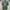 Nike Vintage Streetwear T-shirt Pria Green