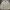Casual Harrington jacket Pria white photo 6