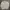 Casual Harrington jacket Pria white photo 1