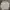 Casual Harrington Jacket Pria White