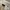 Cotton On Casual Formal shirt Pria white cream photo 3