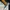 Streetwear Y2K Jegging Wanita cream photo 4