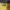 LMC Streetwear Casual Sweatshirt Pria yellow photo 3