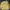 LMC Streetwear Casual Sweatshirt Pria Yellow