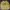 LMC Streetwear Casual Sweatshirt Pria Yellow