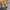 Converse Streetwear Y2K Sneakers Pria orange photo 4