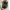 Nike Streetwear Casual Sneakers Wanita multicolor photo 7