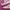Puma Streetwear Casual Sneakers Pria tan pink photo 2