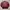 Converse Sportswear Varsity jacket Pria red photo 2