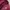 Converse Sportswear Varsity jacket Pria red photo 6