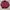 Converse Sportswear Varsity jacket Pria red photo 1