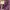 Casual Wanita purple photo 4