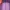 Casual Wanita purple photo 1