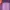 Casual Wanita Purple