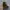 Vintage Y2K Hat Pria Multicolor Green