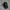 Vintage Y2K Hat Pria Multicolor Green