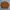 MLB Sportswear Bomber Jacket Pria Orange White