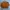 MLB Sportswear Bomber jacket Pria orange white photo 1