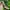 Guess Luxury Casual Watch Pria green cream photo 5