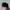 Vintage Streetwear Hat Pria black photo 2
