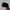 Vintage Streetwear Hat Pria Black