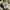 Carhartt Streetwear Casual Casual shirt Pria khaki photo 5