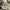 Carhartt Streetwear Casual Casual shirt Pria khaki photo 7