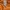 Carhartt Streetwear T-shirt Pria orange photo 6