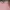 Guess Streetwear Casual Sweatshirt Wanita multicolor photo 4