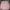 Guess Streetwear Casual Sweatshirt Wanita multicolor photo 3