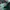 Nike Casual Sneakers Pria green photo 6