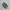 Nike Casual Sneakers Pria green photo 3
