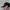 Vintage Streetwear Hat Pria black photo 3
