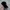 Vintage Streetwear Hat Pria black photo 3