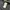 Rick Owens Avant Garde Short Pria black photo 4