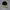 Vintage Streetwear Hat Pria black photo 1