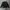 National Geographic Streetwear Casual Sweater Pria black photo 1