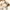 Coach Vintage Lolita Tote bag Wanita gold cream photo 7