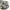 New Balance Sportswear Sneakers Wanita silver photo 6