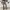 Goth Emo High waisted jeans Wanita cream tan photo 3