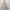 Minimalist Shirt dress Wanita cream photo 2