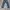 Levi's Vintage Formal pants Pria navy photo 2
