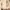 Streetwear Y2K Hoody Pria tan brown photo 1
