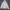 VANS Streetwear Hoody Pria white photo 1