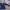 Polo Ralph Lauren Vintage Y2K Polo Shirt Pria Navy