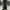 Streetwear Y2K Jeans Pria black gray photo 1