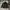 Vintage Windbreaker Pria black photo 2
