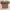 Goth Coquette Crop top Wanita tan brown photo 1