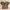 Goth Coquette Crop Top Wanita Tan Brown